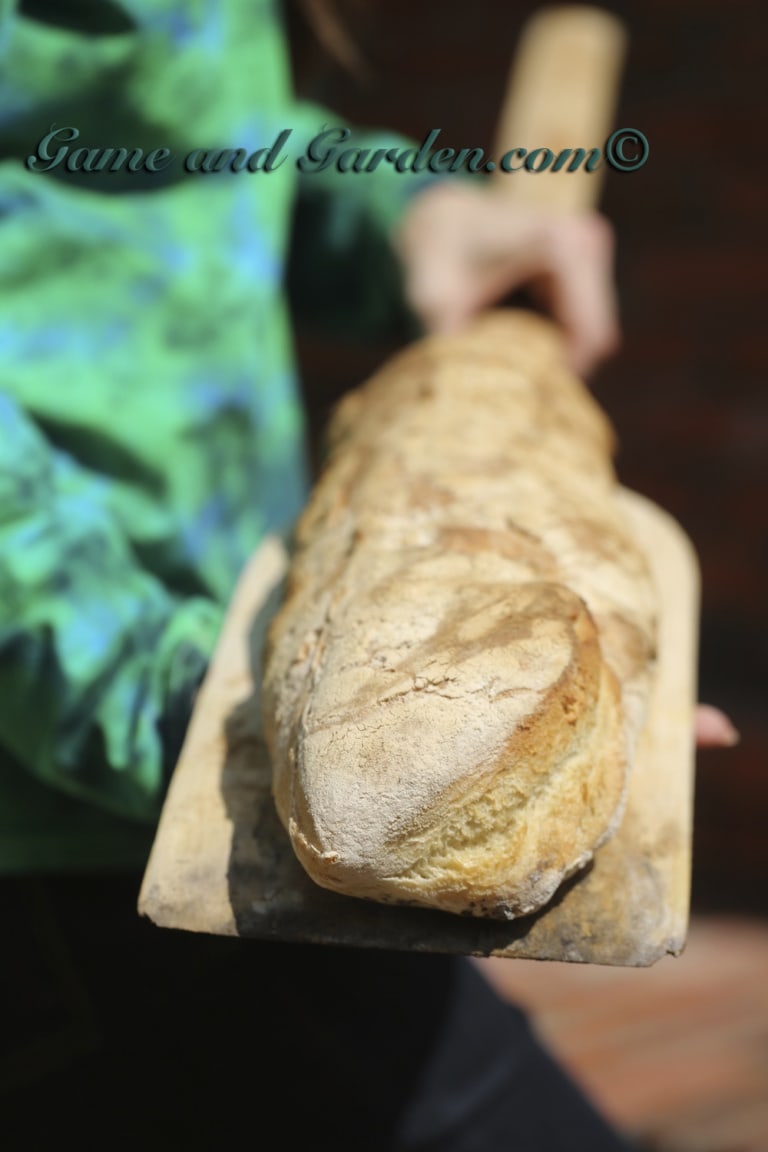 Robust Italian Rustic Bread