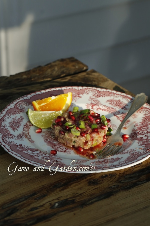 beautifully plated Tuna Tartare with pomegranates and citrus wedges