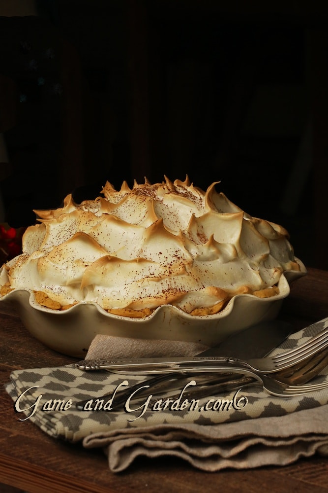 Unbelievable Chocolate Meringue Pie - we might become best friends after eating this!