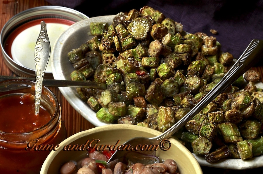 Southern Fried Okra is a staple in the Southern Kitchen. It is high in fiber and folic acid. 