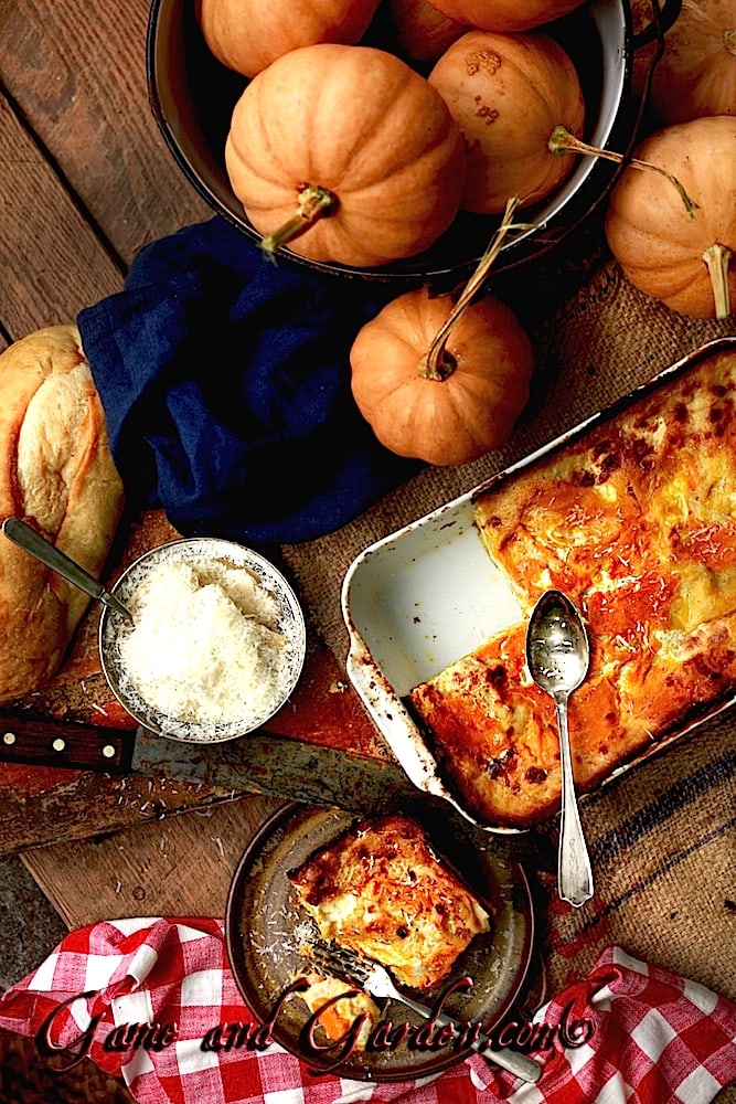 Creamy Comfort food perfect for entertaining! Pumpkin Lasagna with White Sauce!