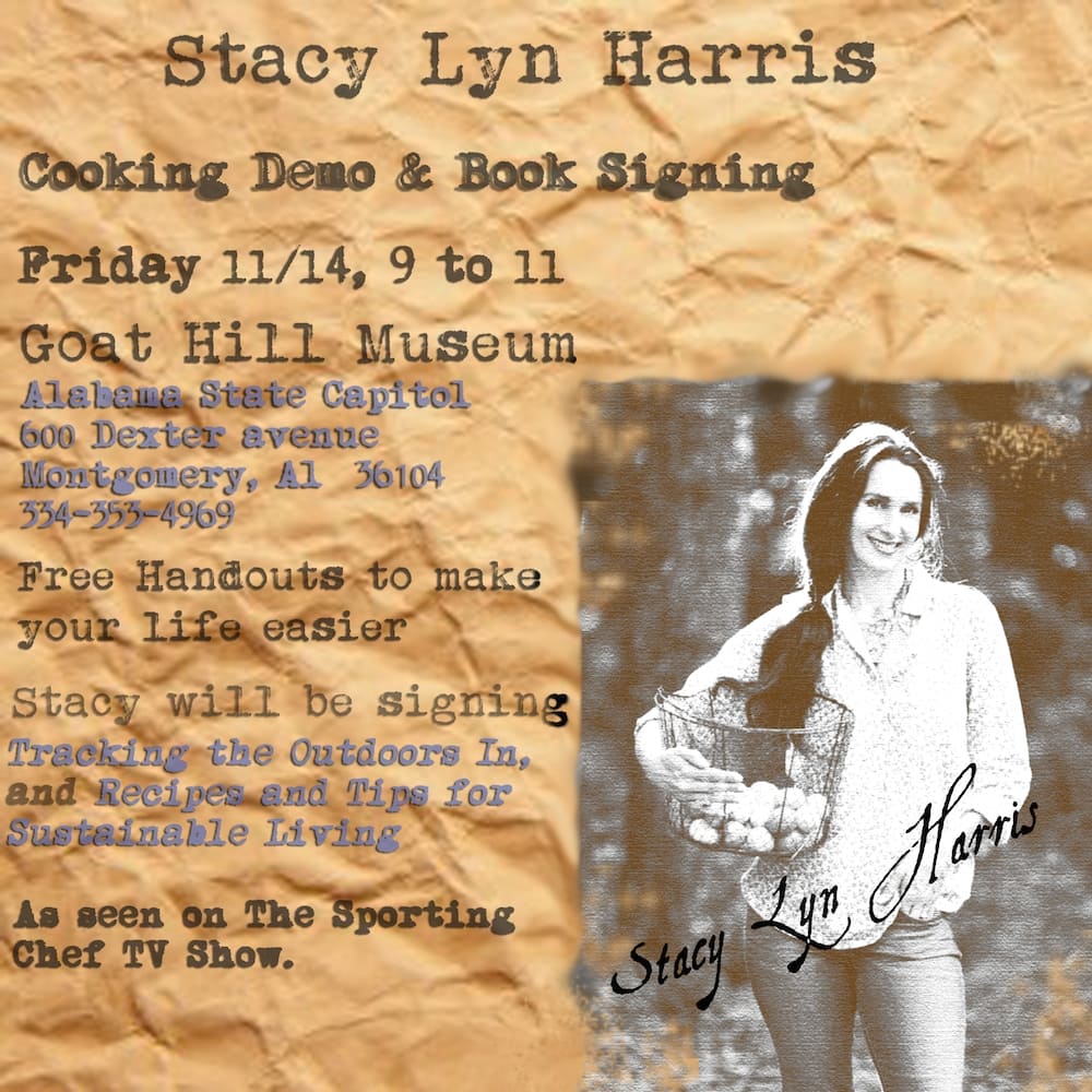 Stacy Lyn Harris Book Signing 