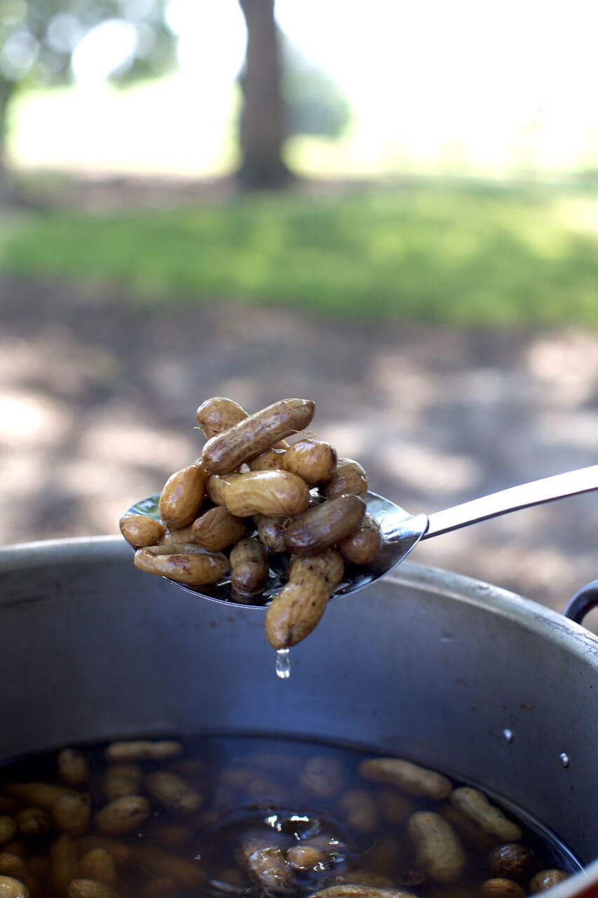 A pot of southern-style boiled peanuts