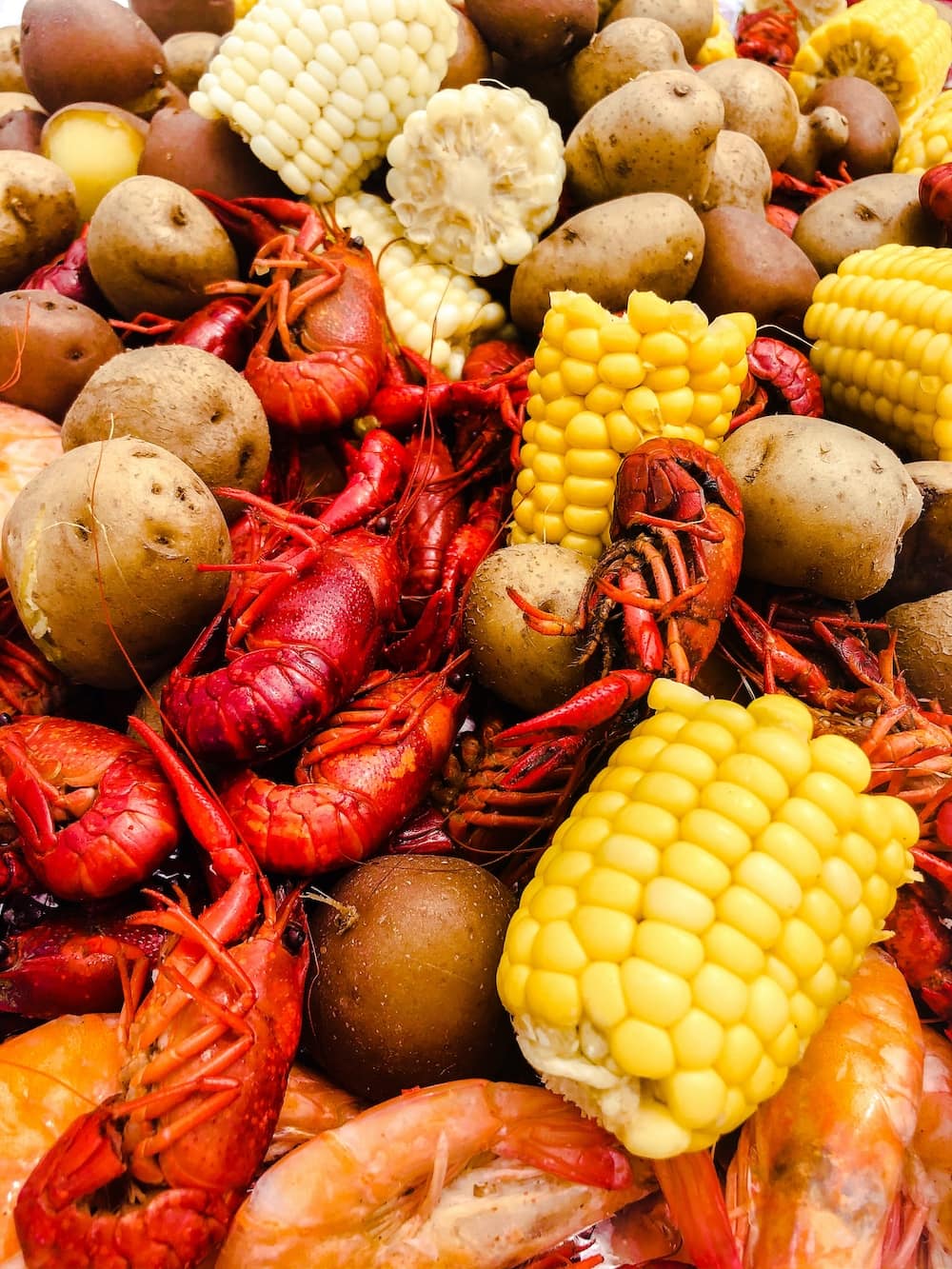 Very close up of crawfish, corn, and potatoes after crawfish boil