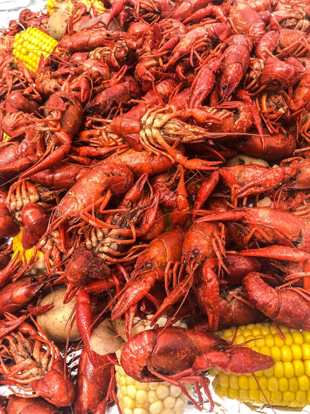 Stacy Lyn's crawfish boil recipe prepared: close up shot of bright red crawfish and corn