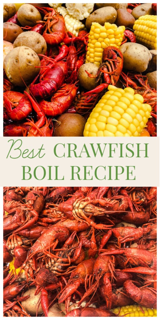 Stacy Lyn's Best Crawfish Boil Recipe