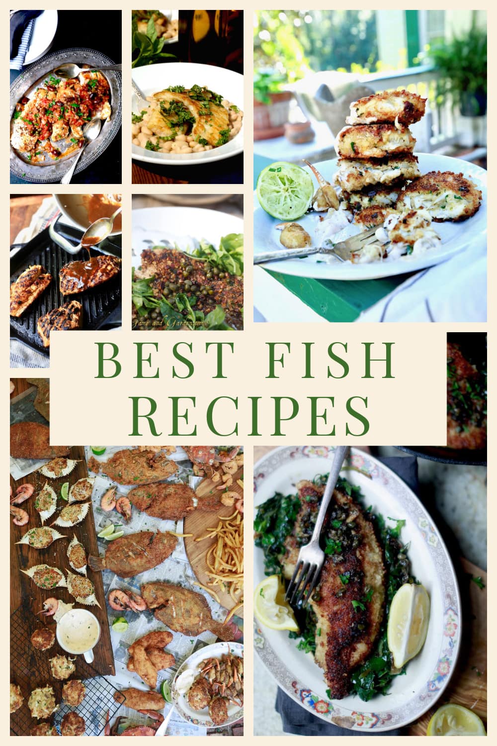 montage of Stacy Lyn's best fish recipes