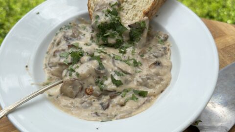 old fashioned dressing with cream of mushroom soup Recipe for old-fashioned cornbread dressing with cream of mushroom soup?