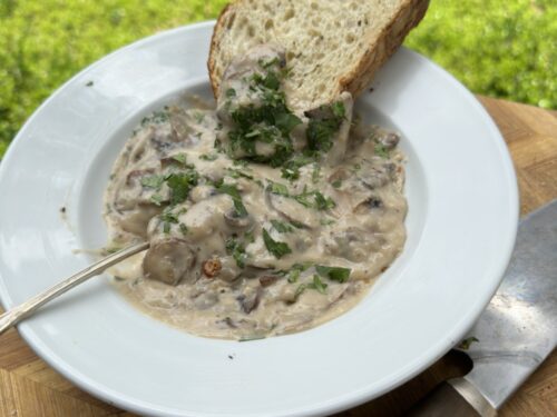 dressing with cream of mushroom soup Condensed Cream of Mushroom Soup